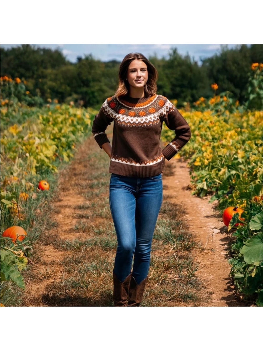 Kiel James Patrick Cozy Cabin Sweaters Pumpkin Fair Isle Wool Blend XS Brown